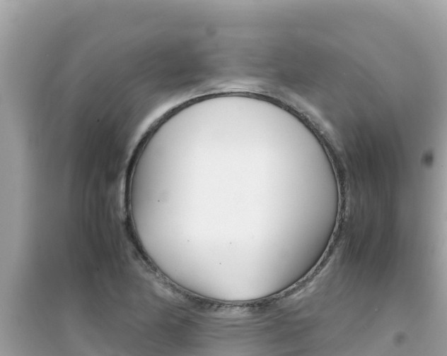 X0000095121174200712070936