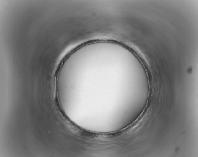 X0000095121175200712070936