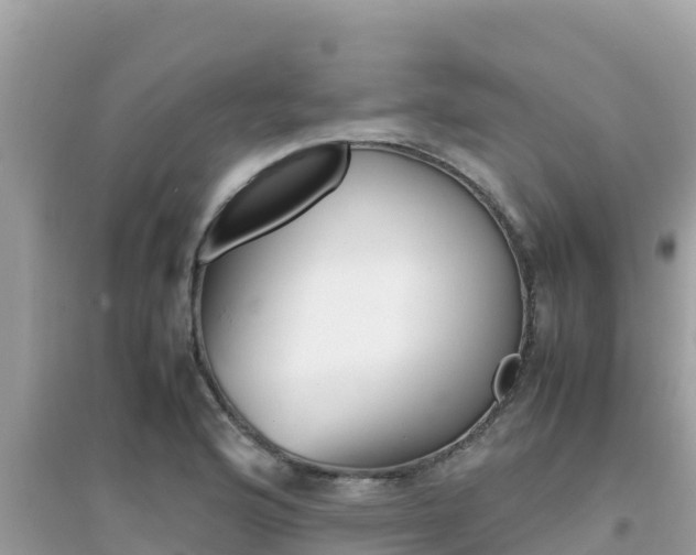 X0000095121176200712070936