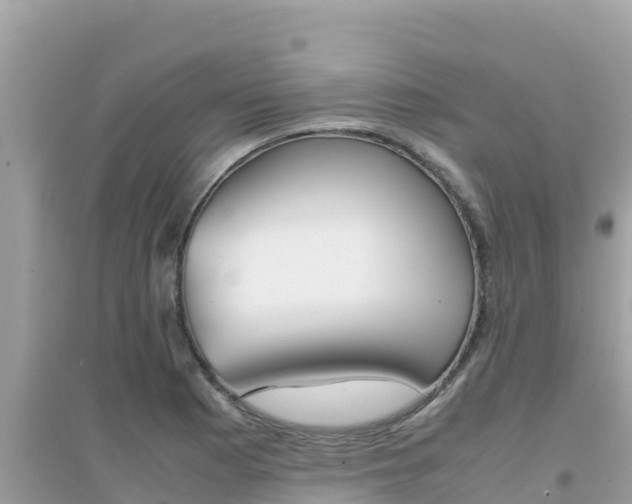 X0000095121177200712070936