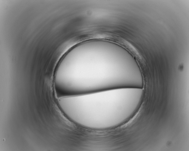 X0000095121178200712070936