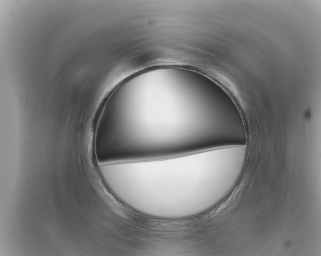 X0000095121179200712070936