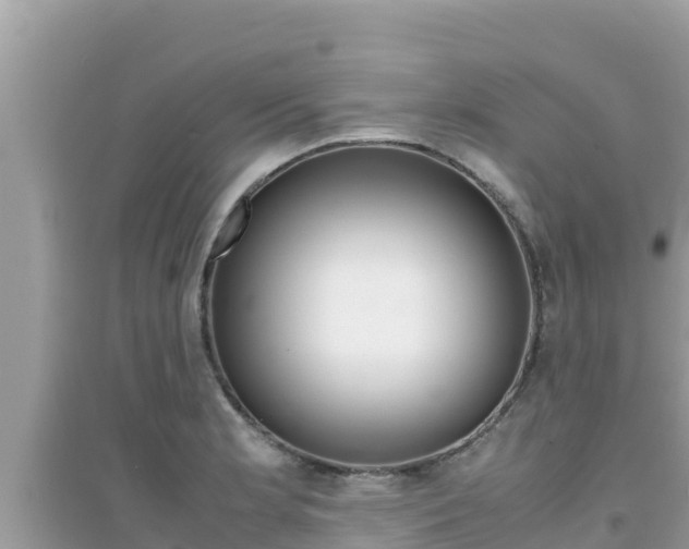 X0000095121181200712070936