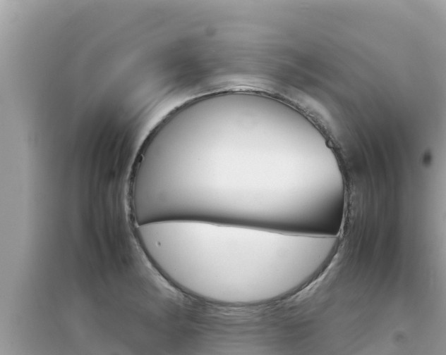 X0000095121182200712070936