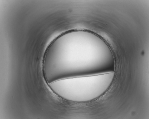 X0000095121183200712070936