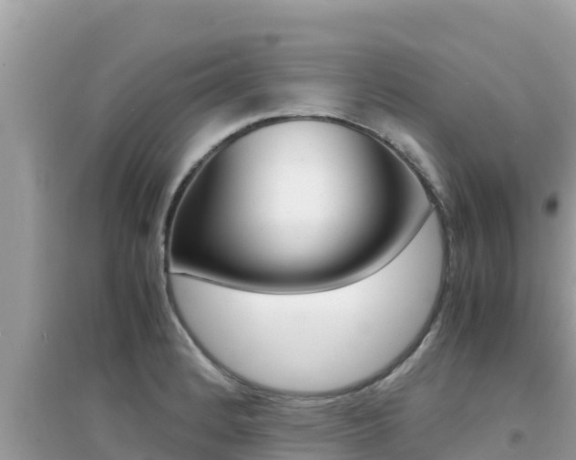 X0000095121184200712070936