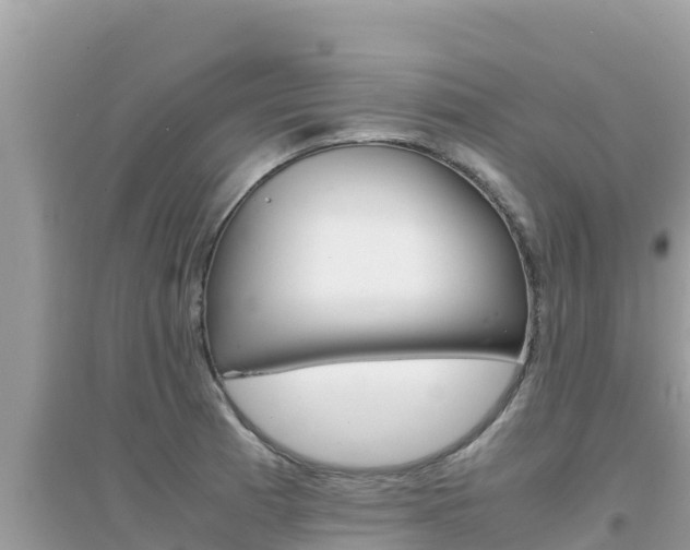 X0000095121185200712070936