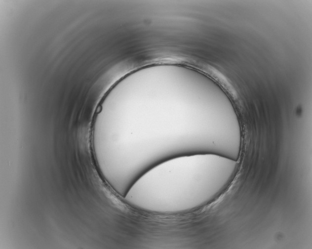 X0000095121186200712070936