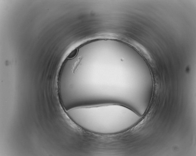 X0000095121192200712070935