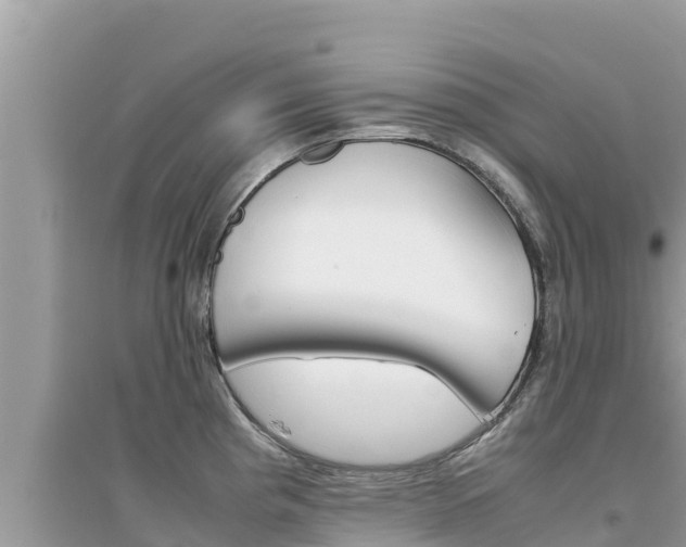 X0000095121193200712070935