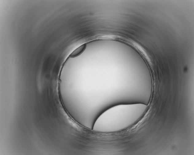 X0000095121194200712070935