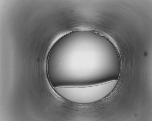 X0000095121195200712070935