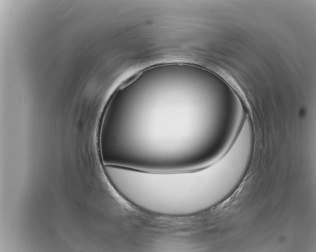 X0000095121197200712070935