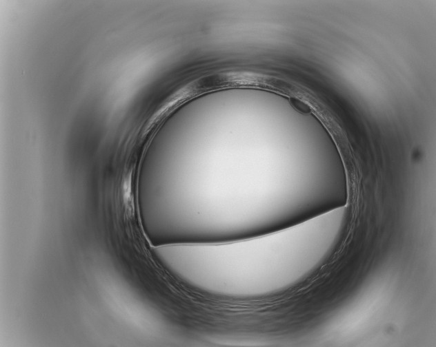 X0000095121198200712070935