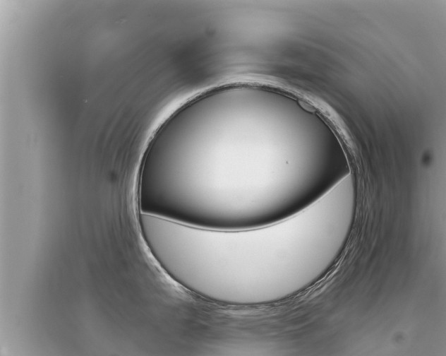 X0000095121199200712070935