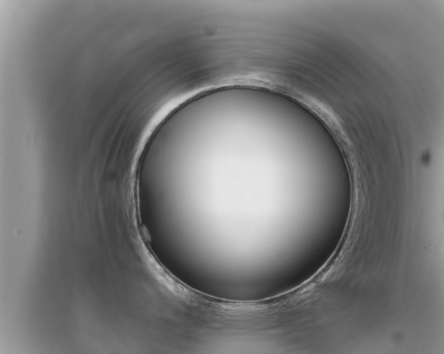 X0000095121200200712070935