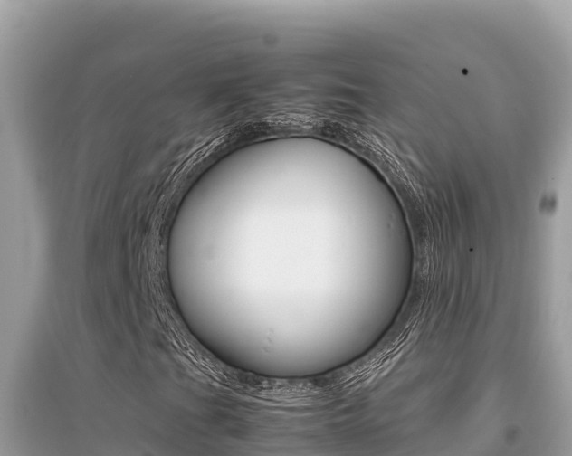 X0000095121201200712070935