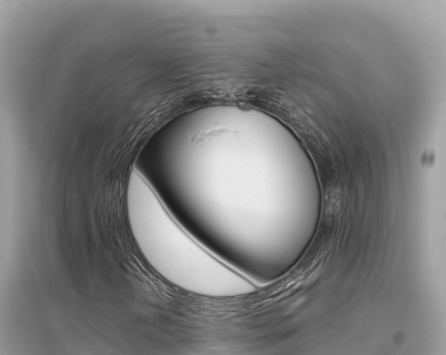 X0000095121202200712070935
