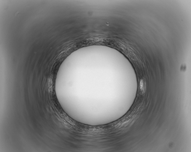 X0000095121203200712070935