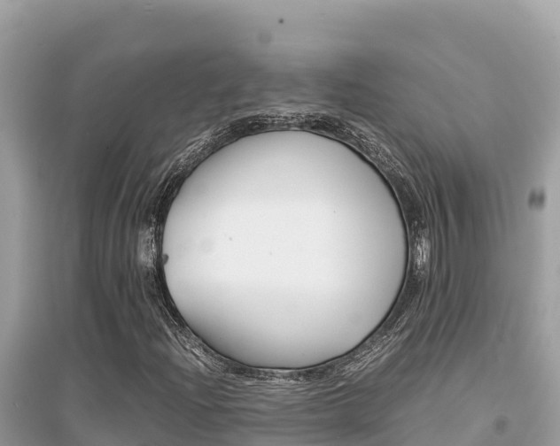 X0000095121204200712070935