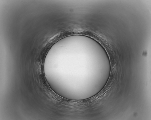 X0000095121205200712070935
