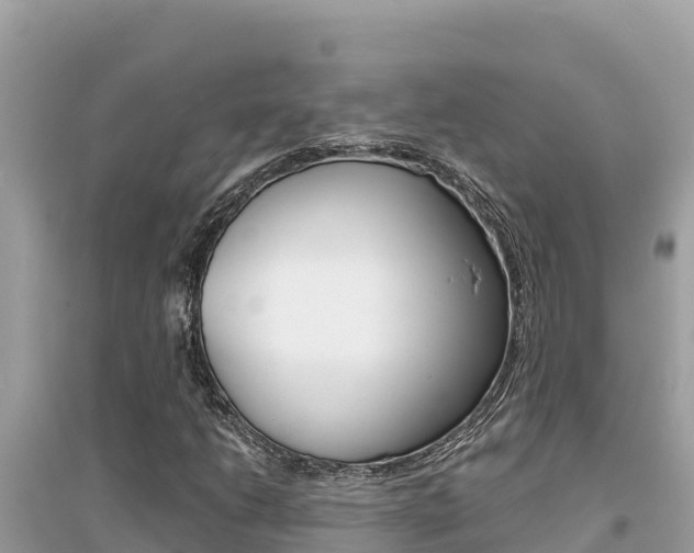 X0000095121206200712070935