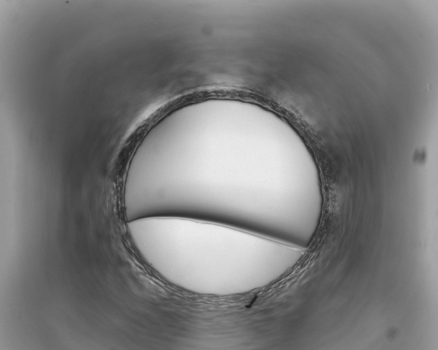 X0000095121208200712070935