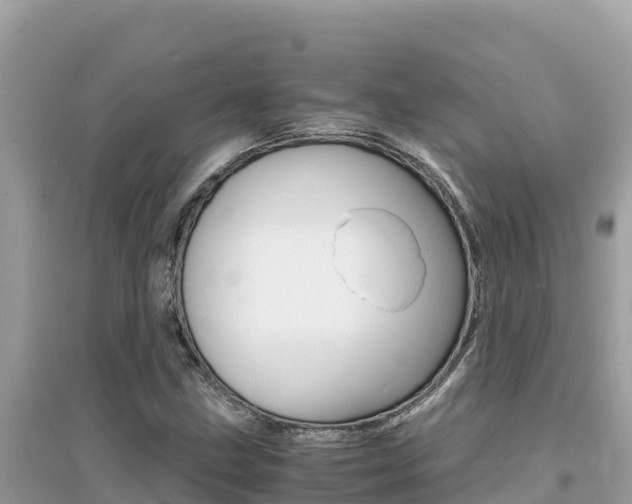 X0000095121211200712070935