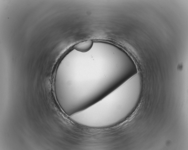 X0000095121212200712070935