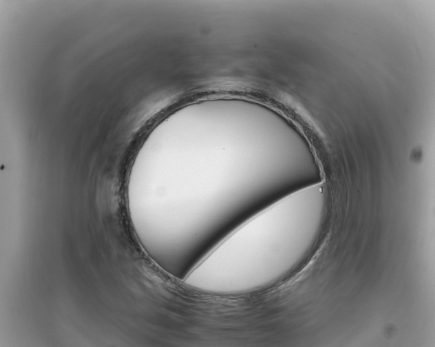 X0000095121213200712070935