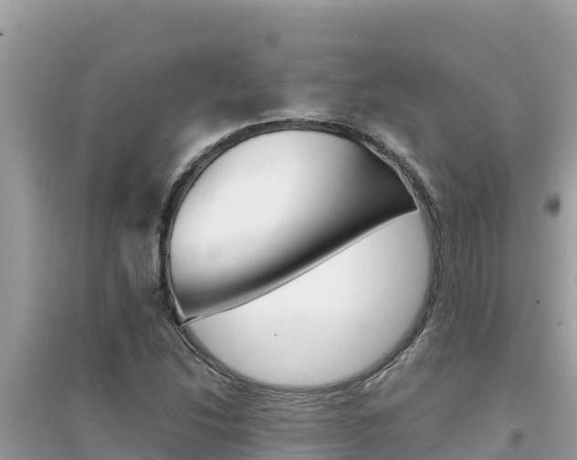 X0000095121214200712070935