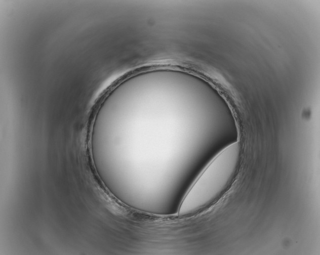X0000095121216200712070935