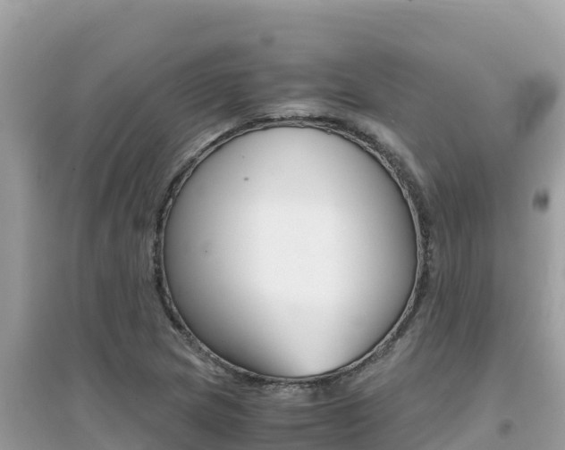 X0000095121217200712070935
