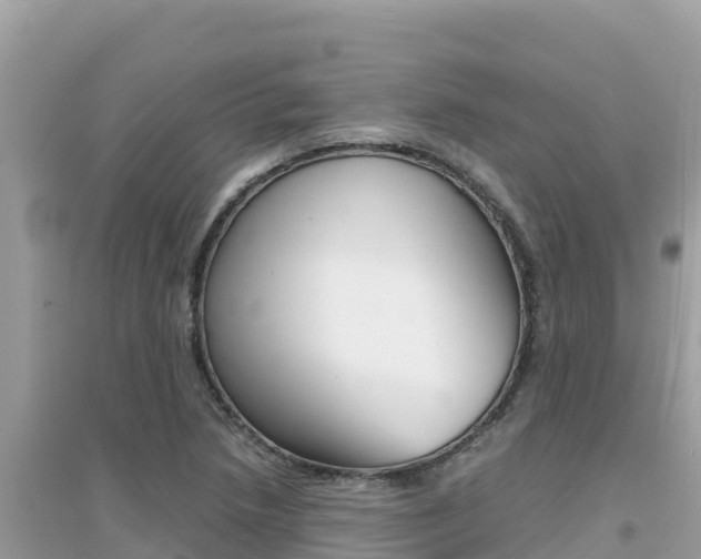 X0000095121218200712070935