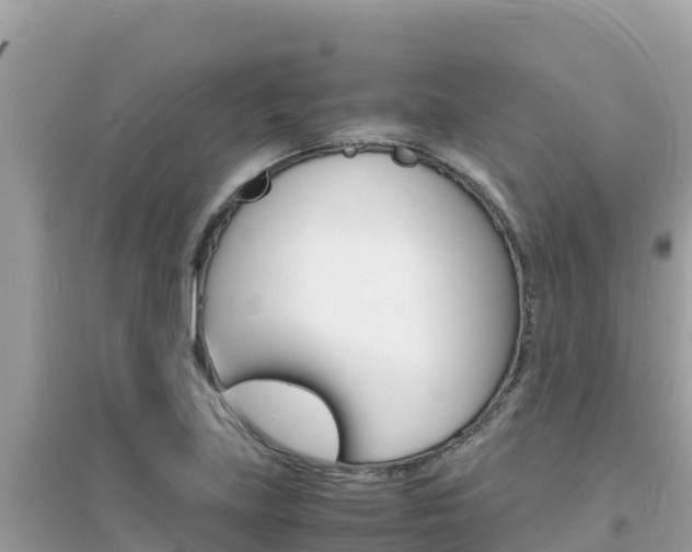 X0000095121219200712070935