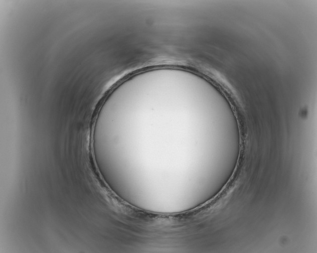 X0000095121220200712070935