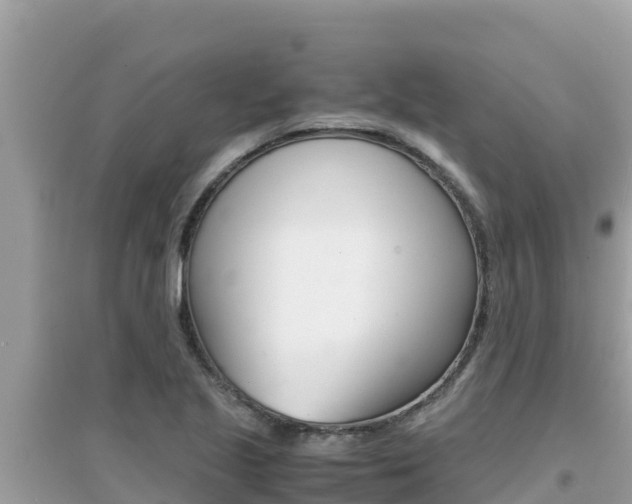 X0000095121221200712070935