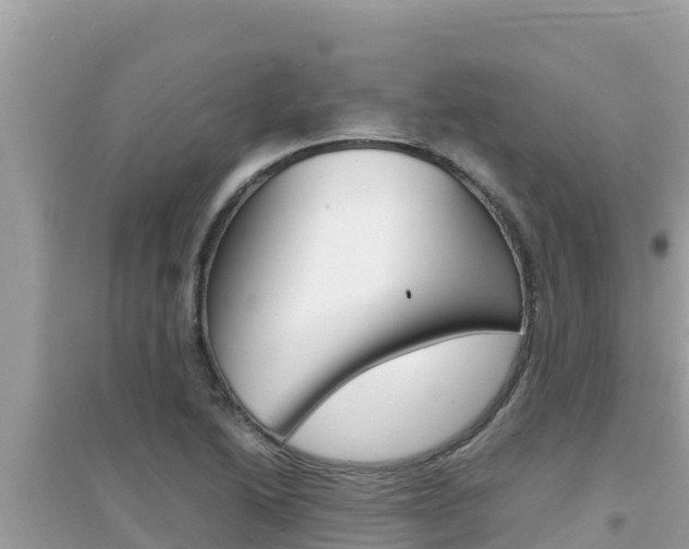X0000095121222200712070935