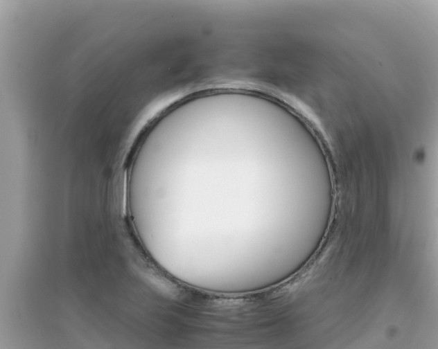 X0000095121223200712070935