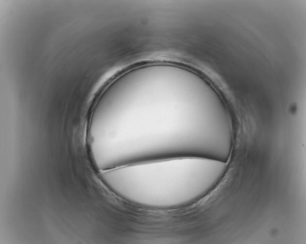 X0000095121224200712070935