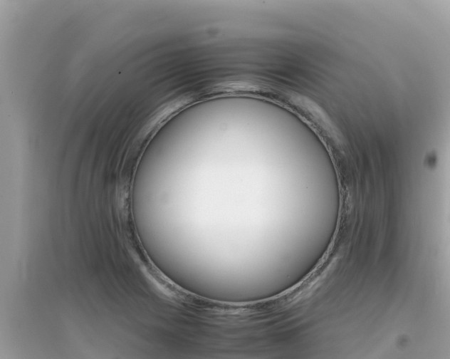 X0000095121225200712070935