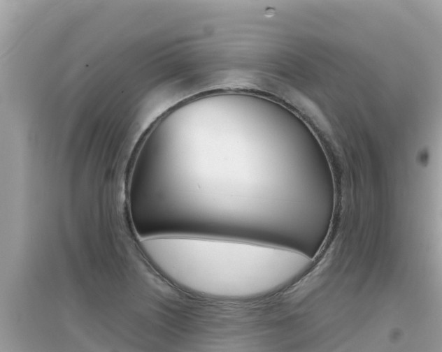 X0000095121226200712070935