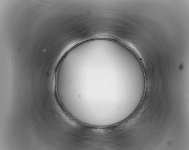 X0000095121227200712070935