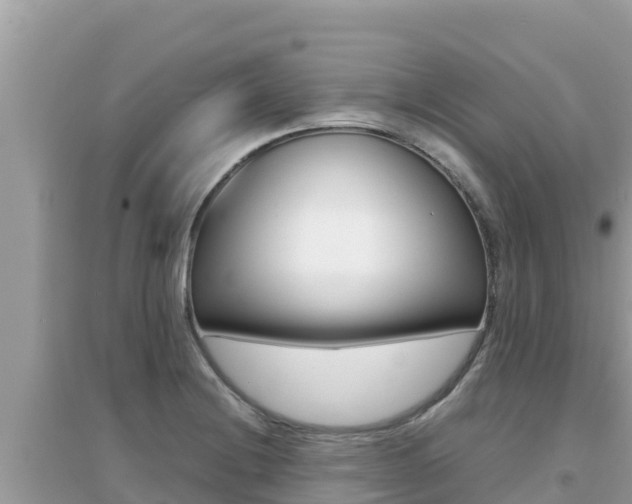 X0000095121228200712070935
