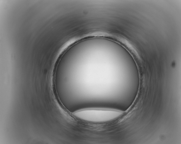 X0000095121229200712070935