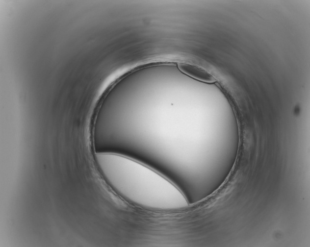X0000095121230200712070935