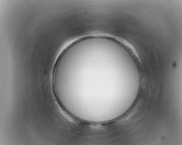 X0000095121231200712070935