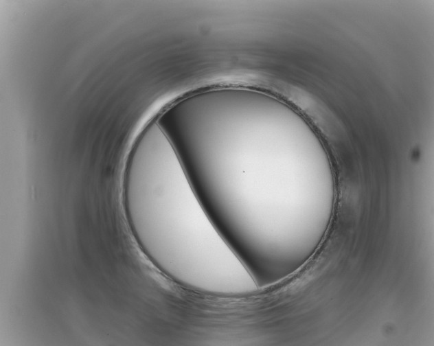 X0000095121232200712070935