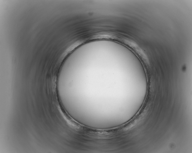 X0000095121233200712070935