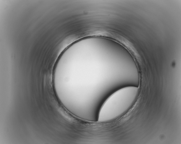X0000095121234200712070935